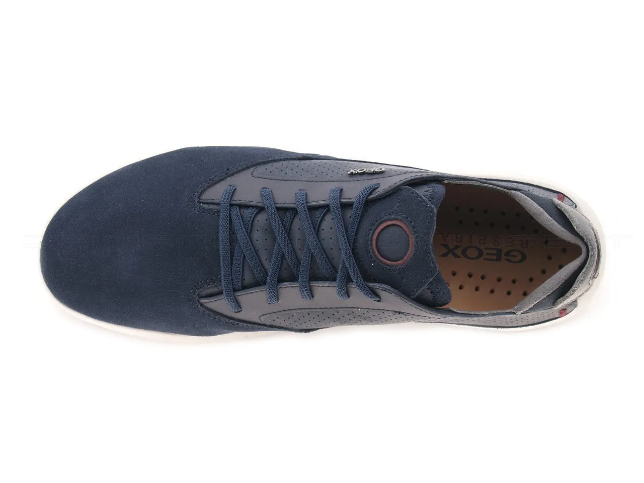 Geox uomo Aerantis sneakers